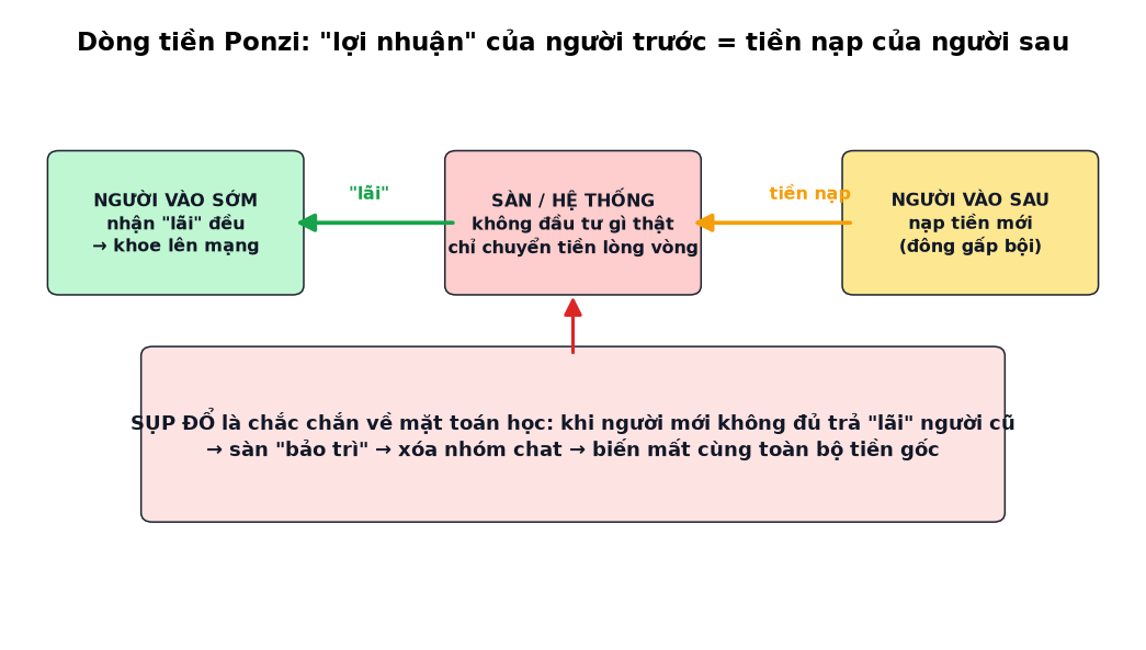 Dòng tiền ponzi đằng sau sàn Busstrade lừa đảo
