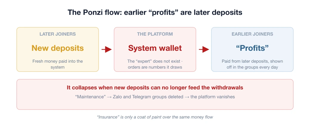 The Ponzi money flow behind the Busstrade scam
