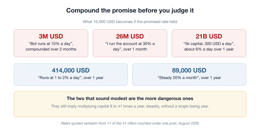 Compound interest chart: 10,000 USD becomes 3 million USD at 10 percent a day over 2 months, 26 million USD at 30 percent a day over 1 month, and 21 billion USD at 6 percent a day over 1 year