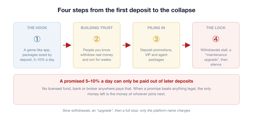 The four-step script of the Coolcat collapse, from the first deposit to the lock