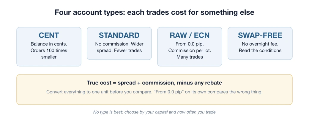 Four forex account types compared: Cent, Standard, Raw/ECN and swap-free
