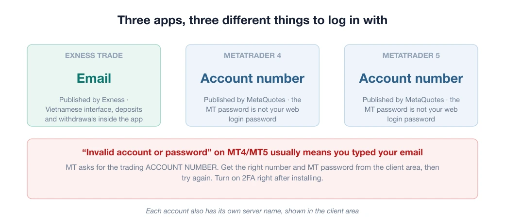 Diagram of the three Exness apps and how each logs in: Exness Trade uses email, while MetaTrader 4 and MetaTrader 5 use a trading account number with a separate MT password