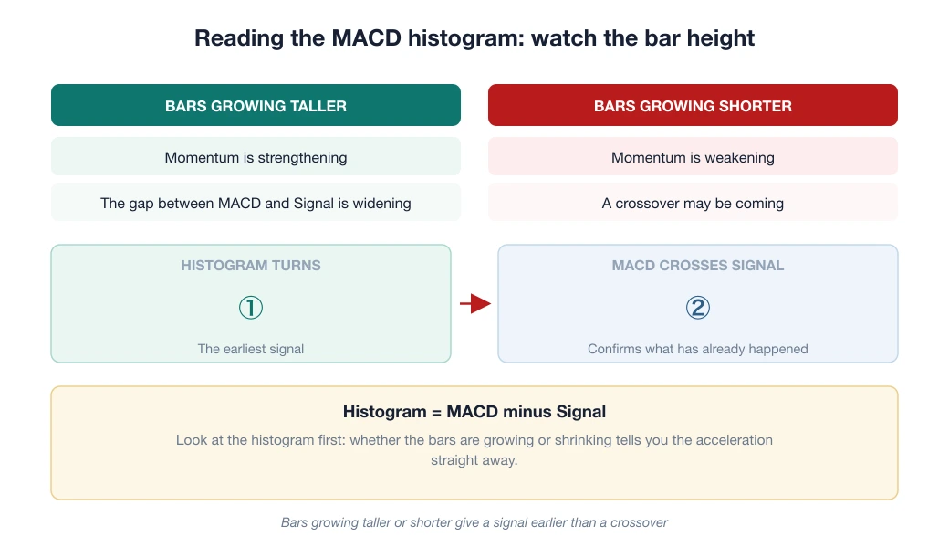 Diagram: MACD histogram bars growing taller mean momentum is strengthening, bars growing shorter mean it is weakening, and the histogram turns before MACD crosses the Signal line