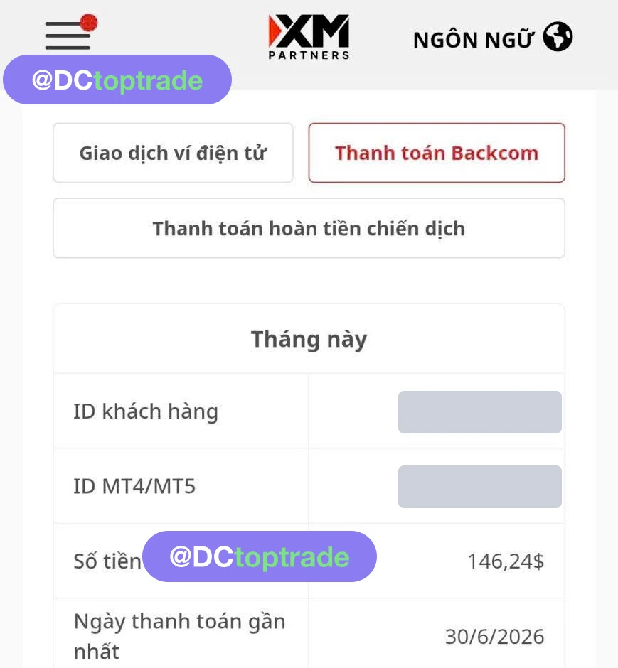 XM Partners, mục Thanh toán Backcom: 146,24 USD, thanh toán ngày 30/06/2026