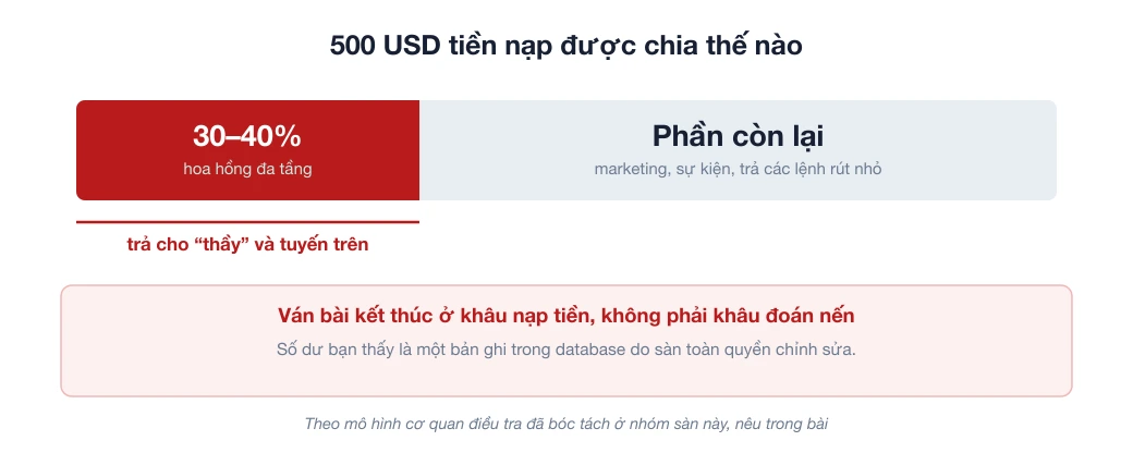 Thanh chia 500 USD tiền nạp theo mô hình cơ quan điều tra bóc tách: khoảng 30 tới 40% vào hoa hồng đa tầng, phần còn lại nuôi quỹ vận hành
