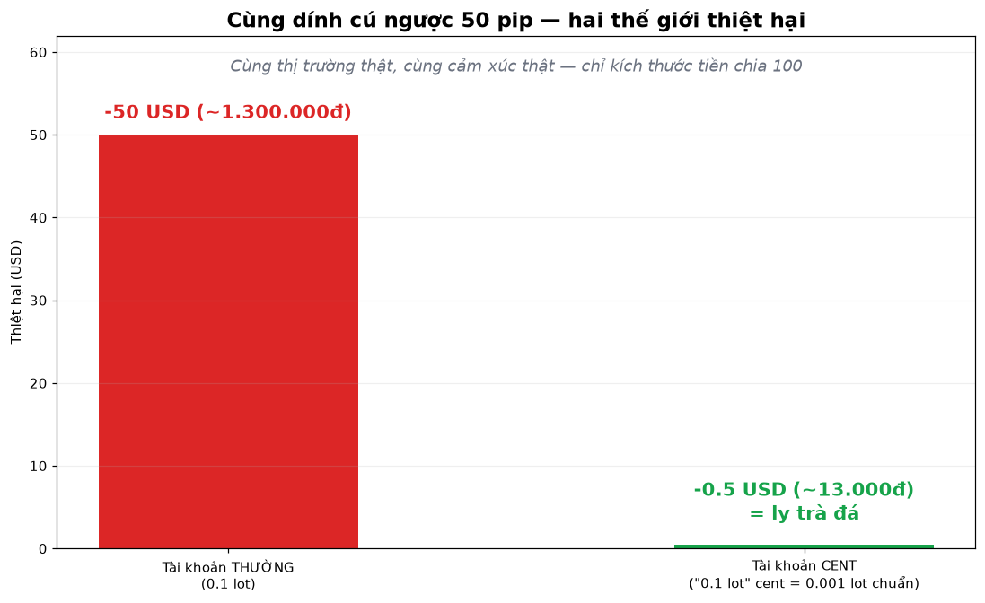 Tài khoản Cent là gì? Cây cầu giữa demo và tiền thật ít người tận dụng