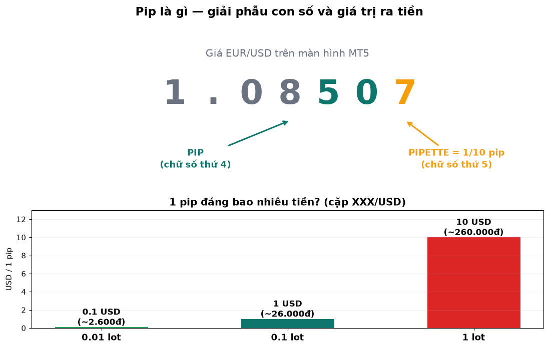 Pip là gì? Cách tính giá trị pip ra tiền thật (2026)